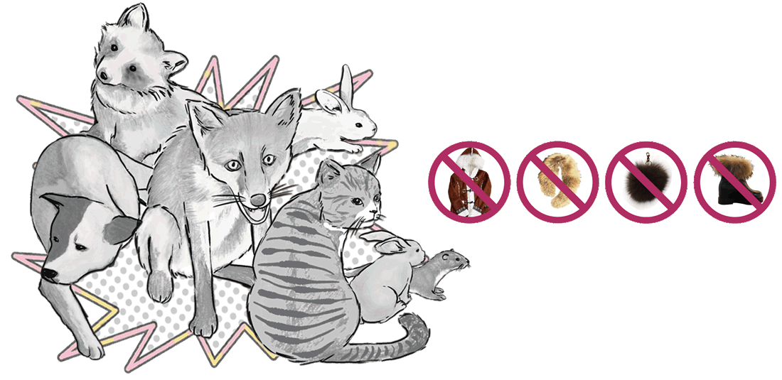 clipart coat animal fur