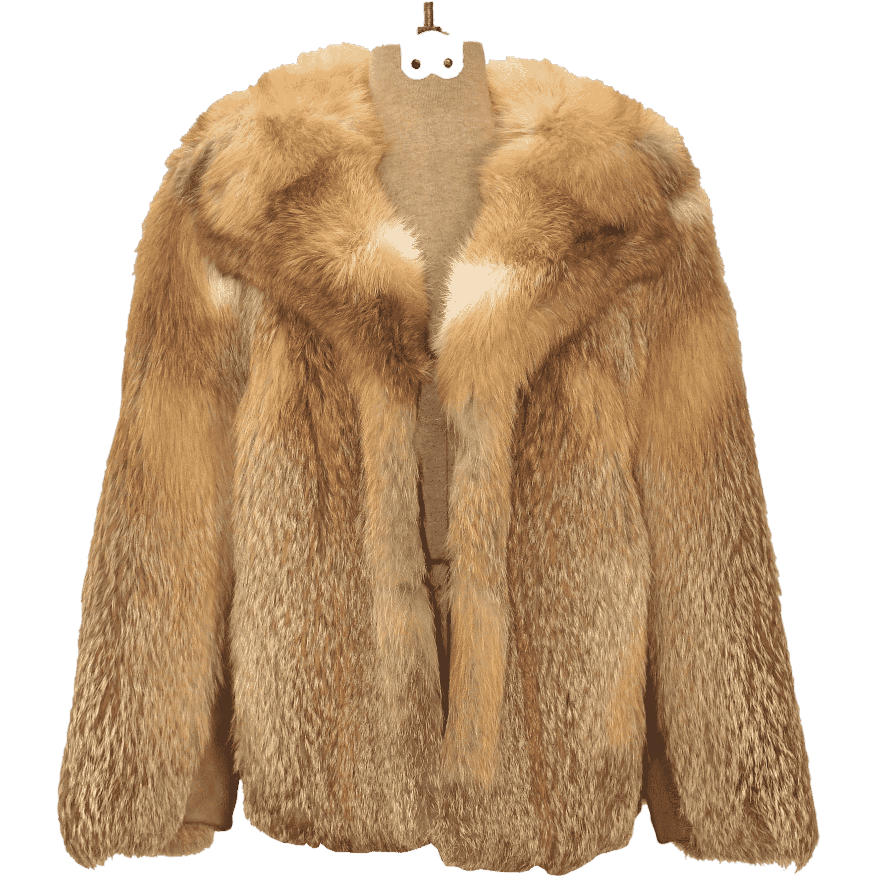 clipart coat fur coat