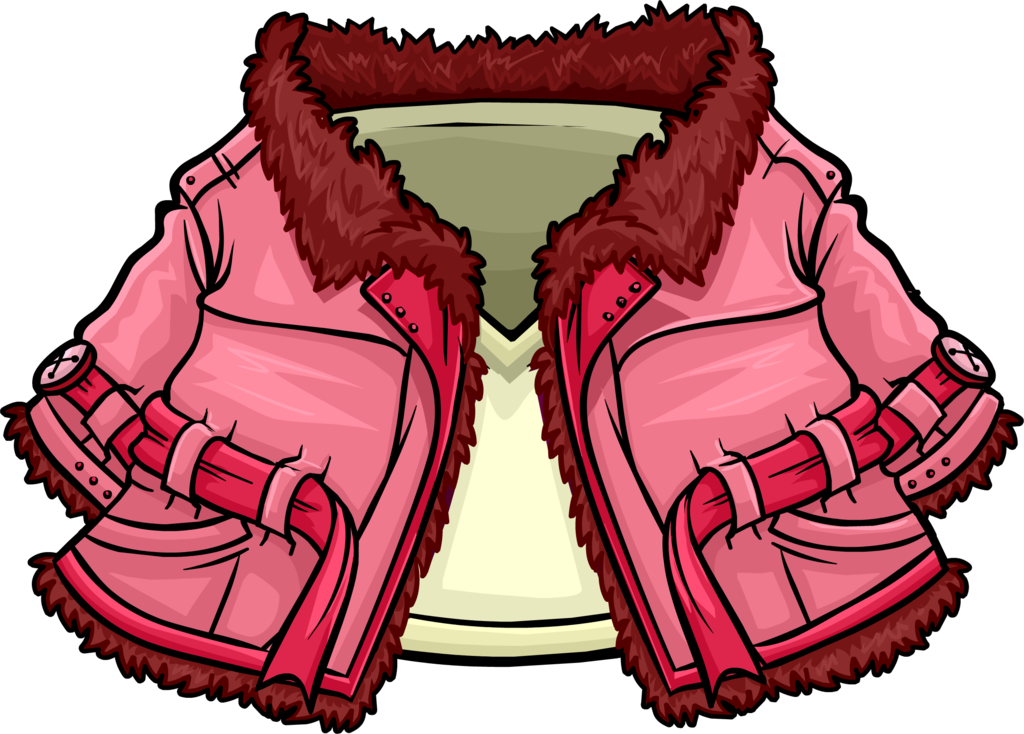 Coat pink coat