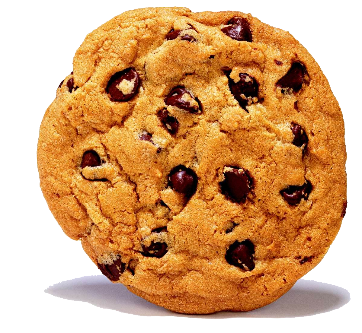 Cookies biscut