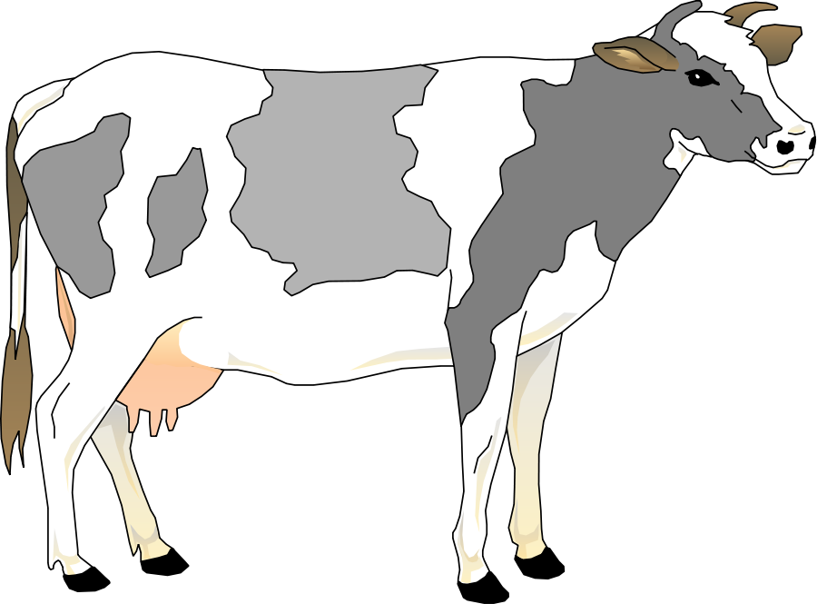 cow clipart realistic