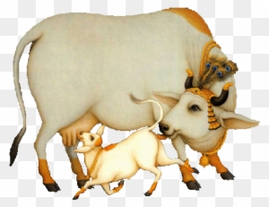 clipart cow cow indian