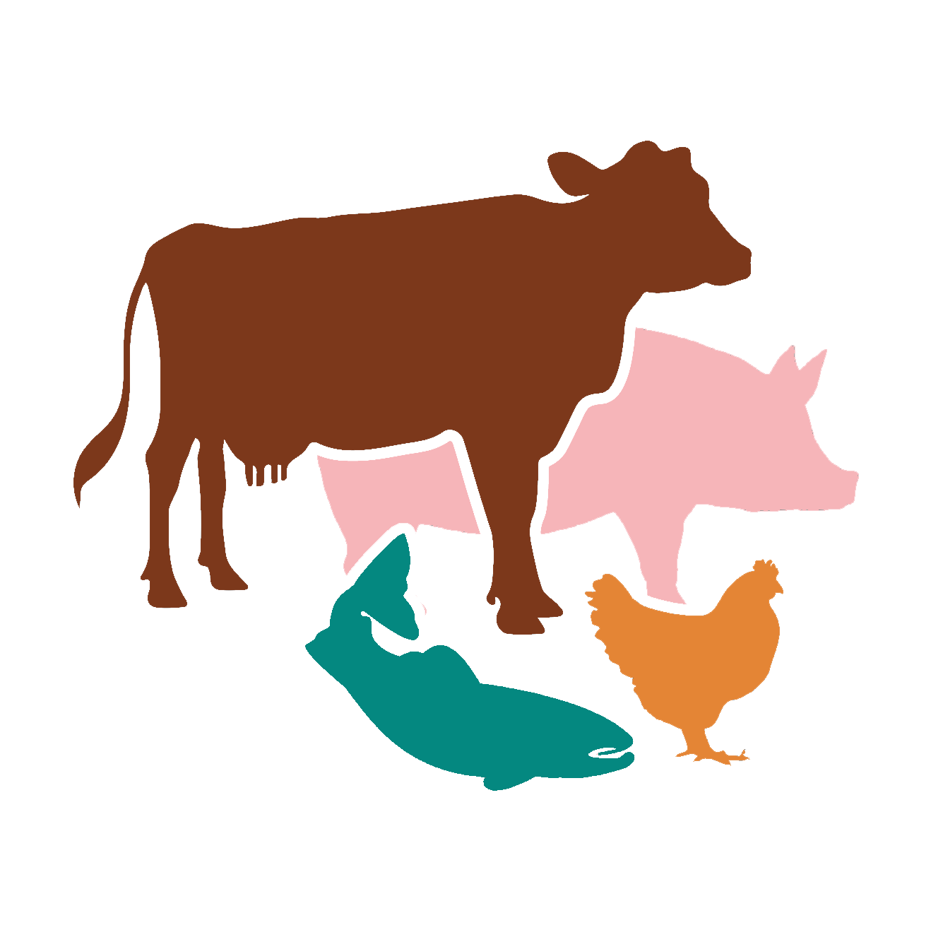 Clipart cow digestive system. Home www yourchoices life