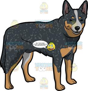 clipart cow dog