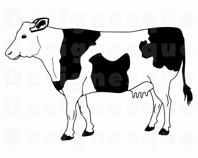 Svg cattle files for. Clipart cow file