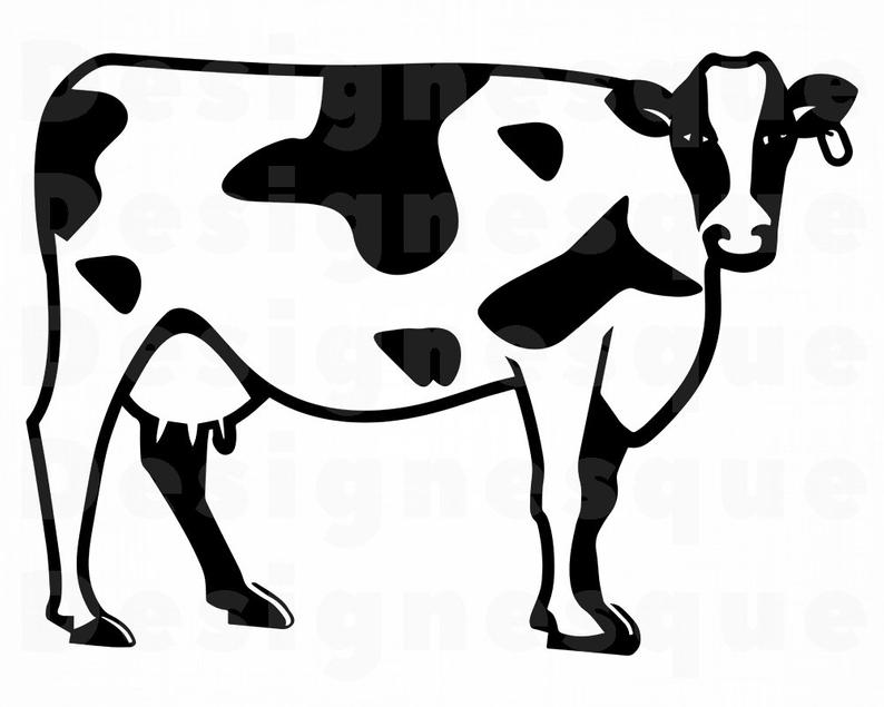 Clipart cow file. Svg cattle files for