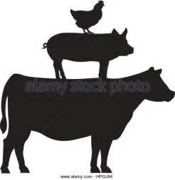 Hog clipart cow. Pig chicken clip art