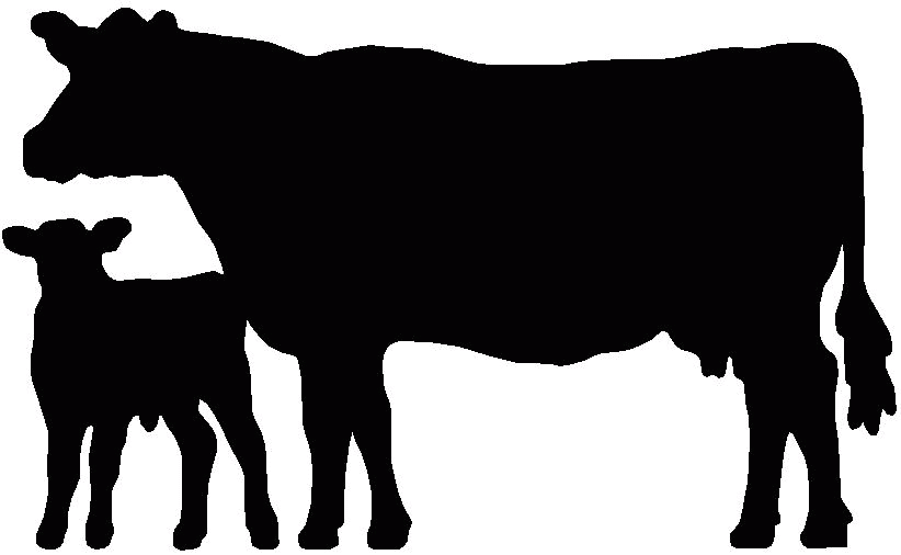 Clipart cow simple. Free cattle drive cliparts