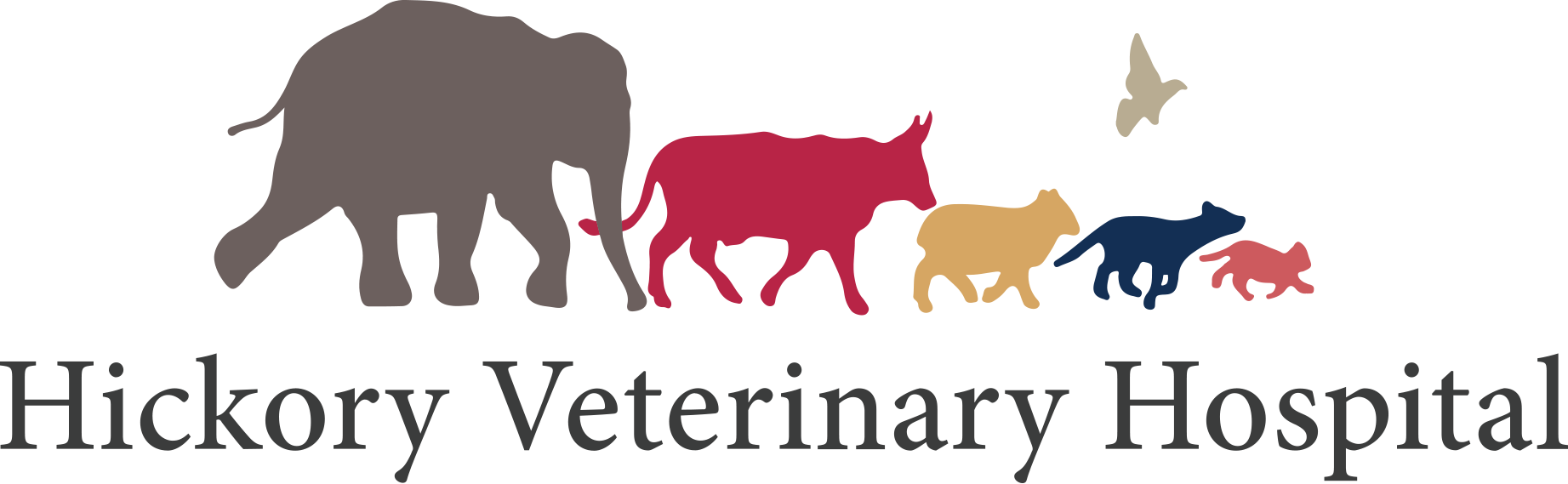 Emergency vet plymouth meeting. Veterinarian clipart cow