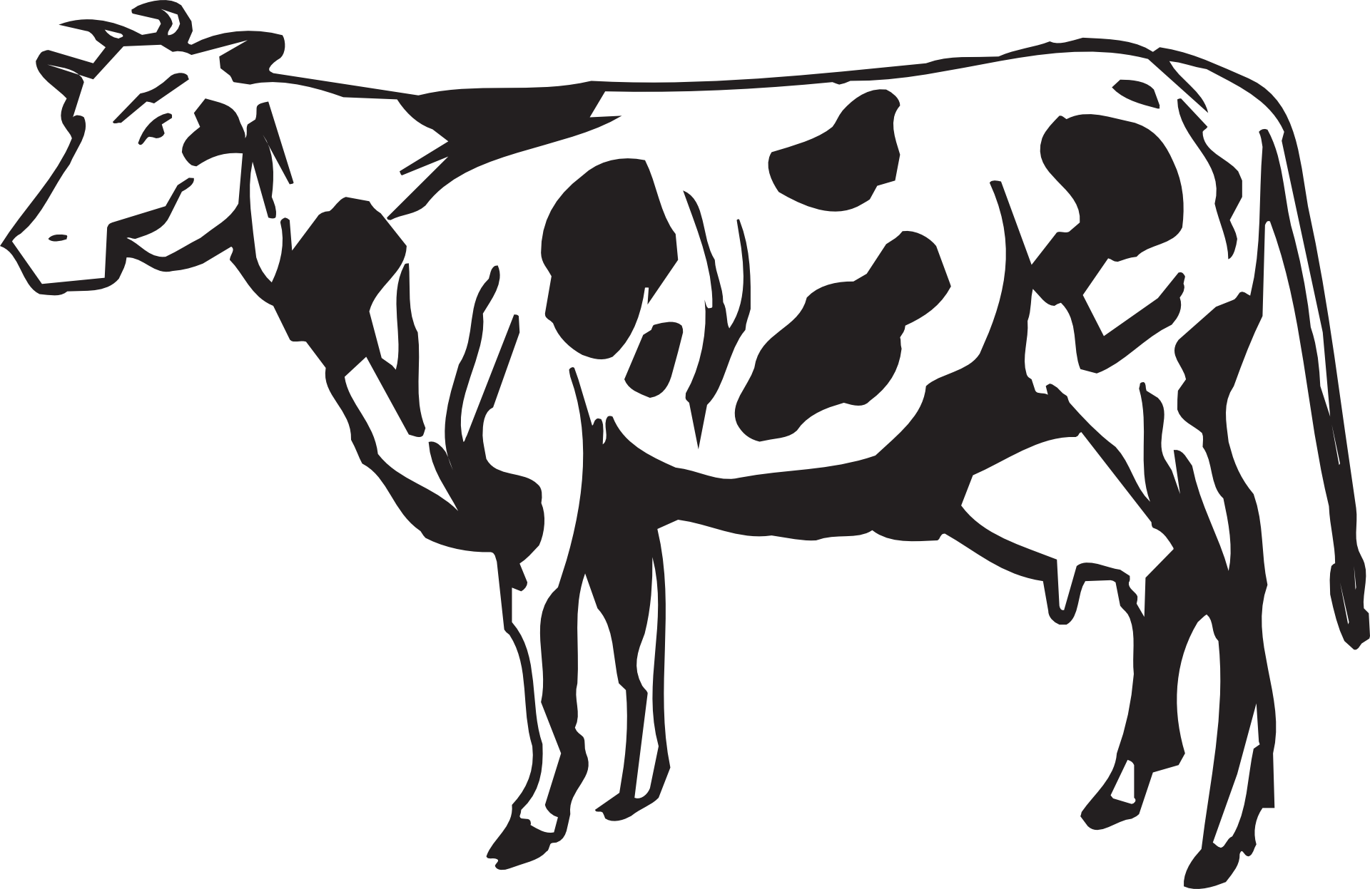 Dairy faqs animal husbandry. Veterinarian clipart cow