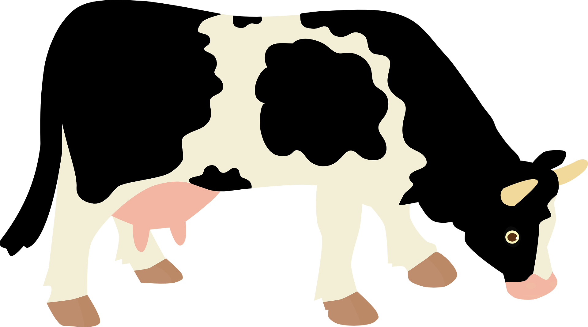 clipart cow vet