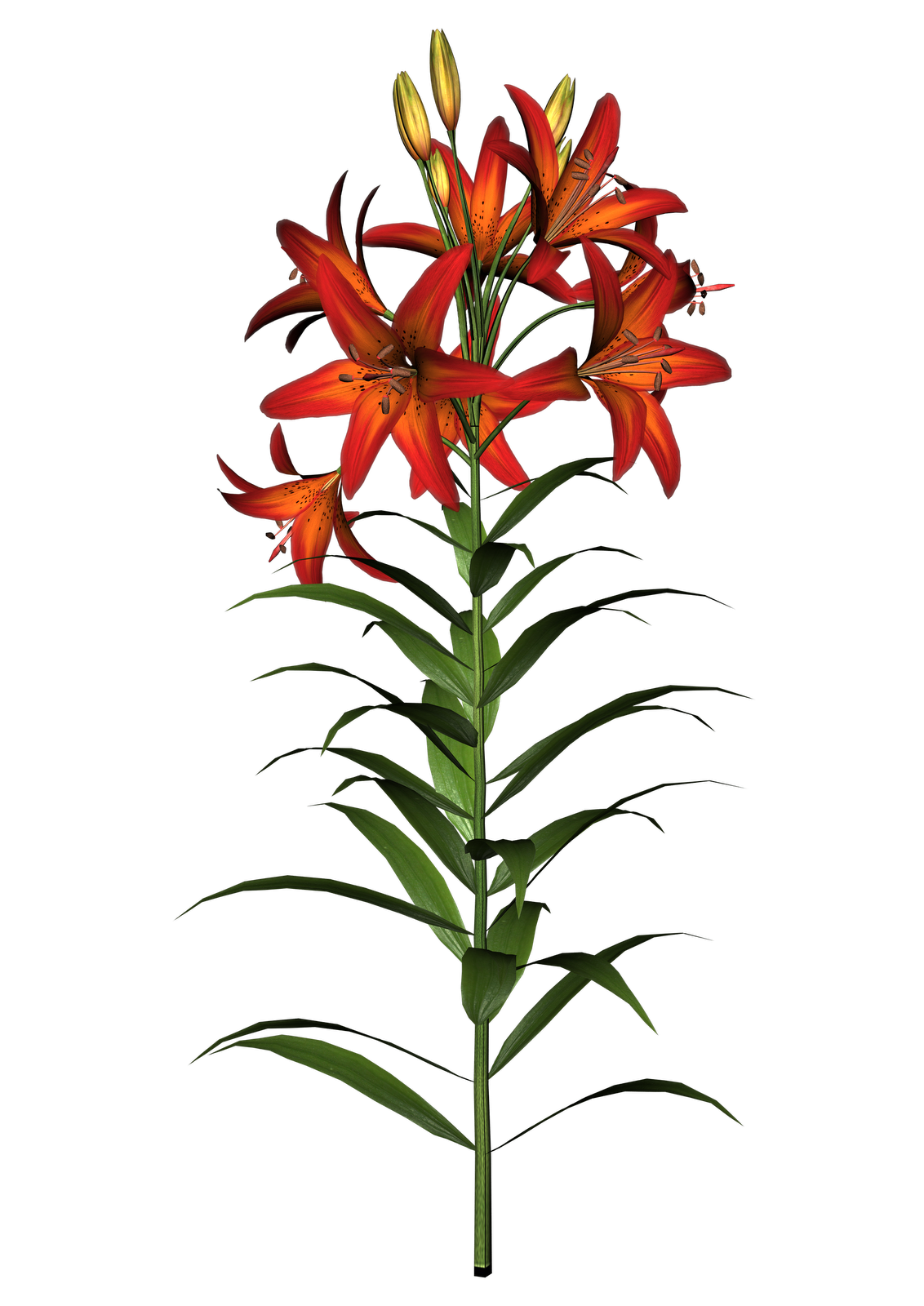 clipart cross lily