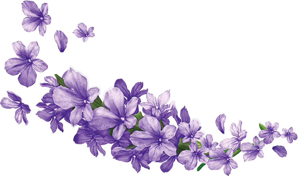 clipart crown lavender