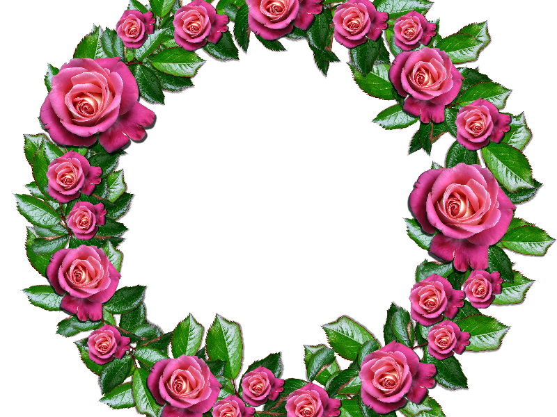 Floral with pink roses. Flower wreath png