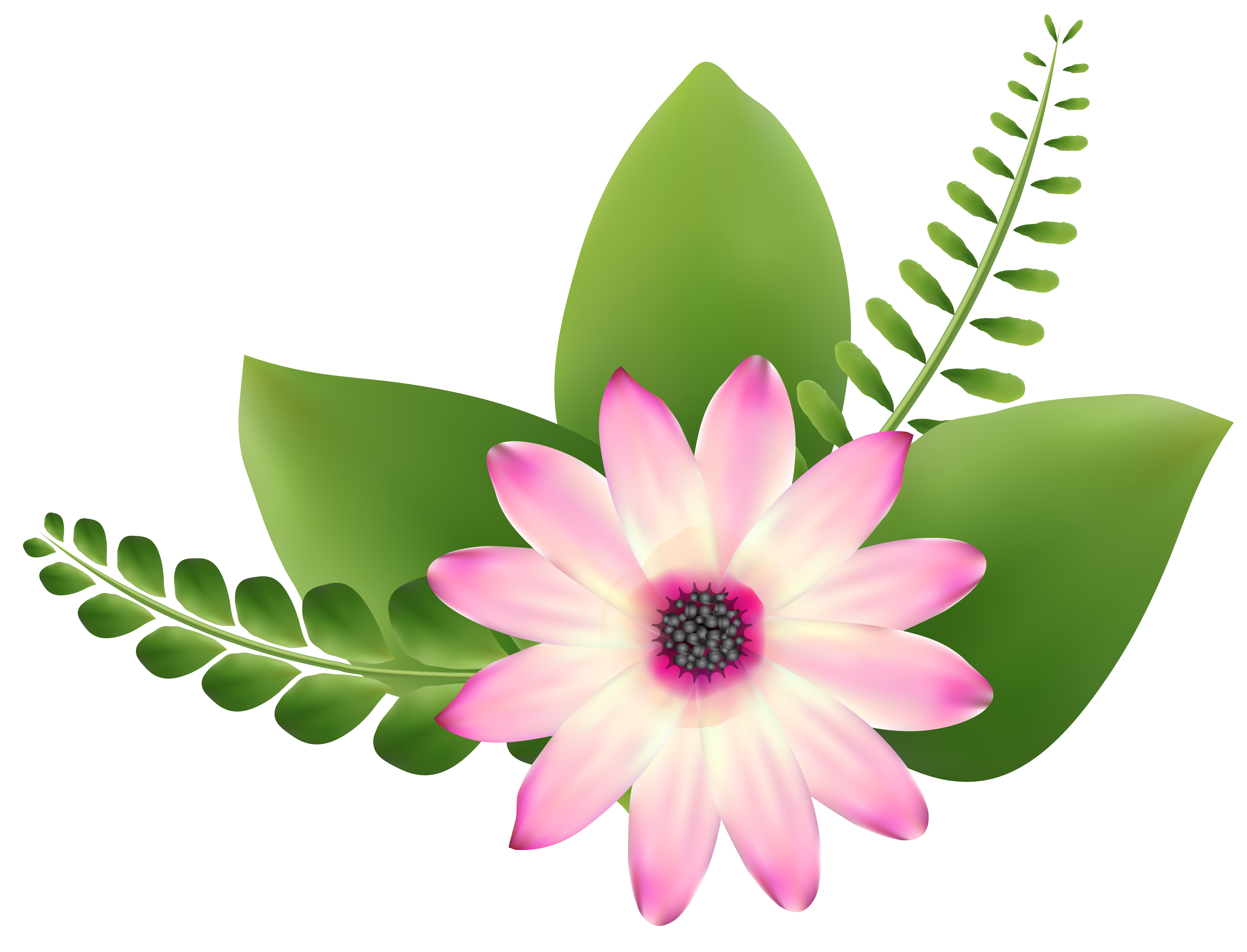 Pink clip art image. Green flower png