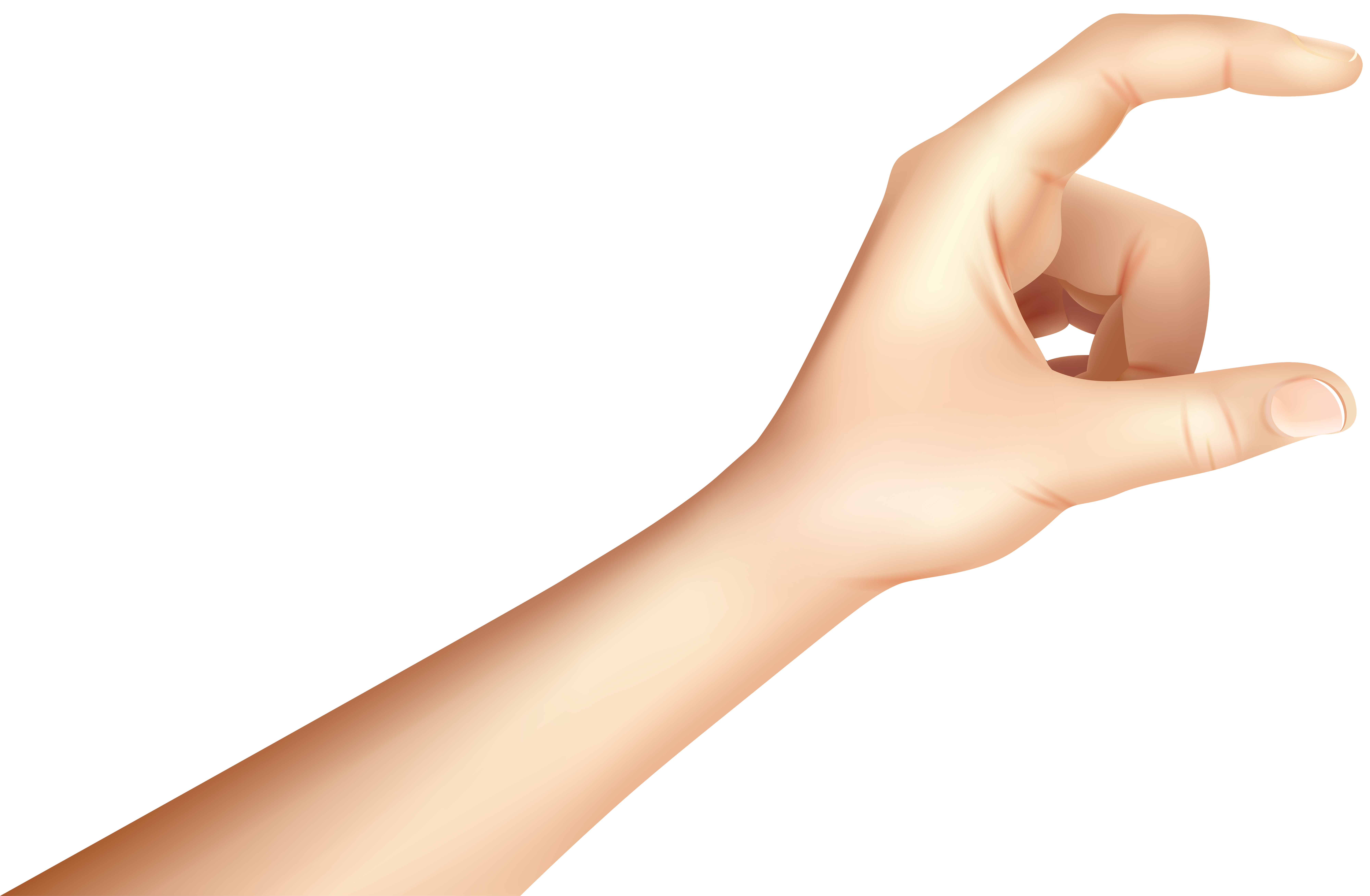 Hands clipart camera. Holding hand png clip