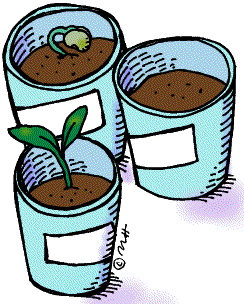 planting clipart science plant