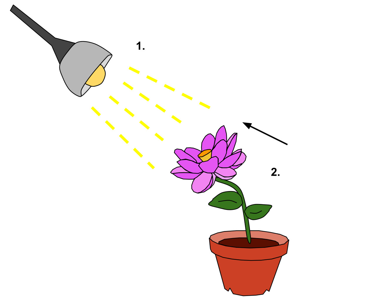 clipart cup nonliving thing