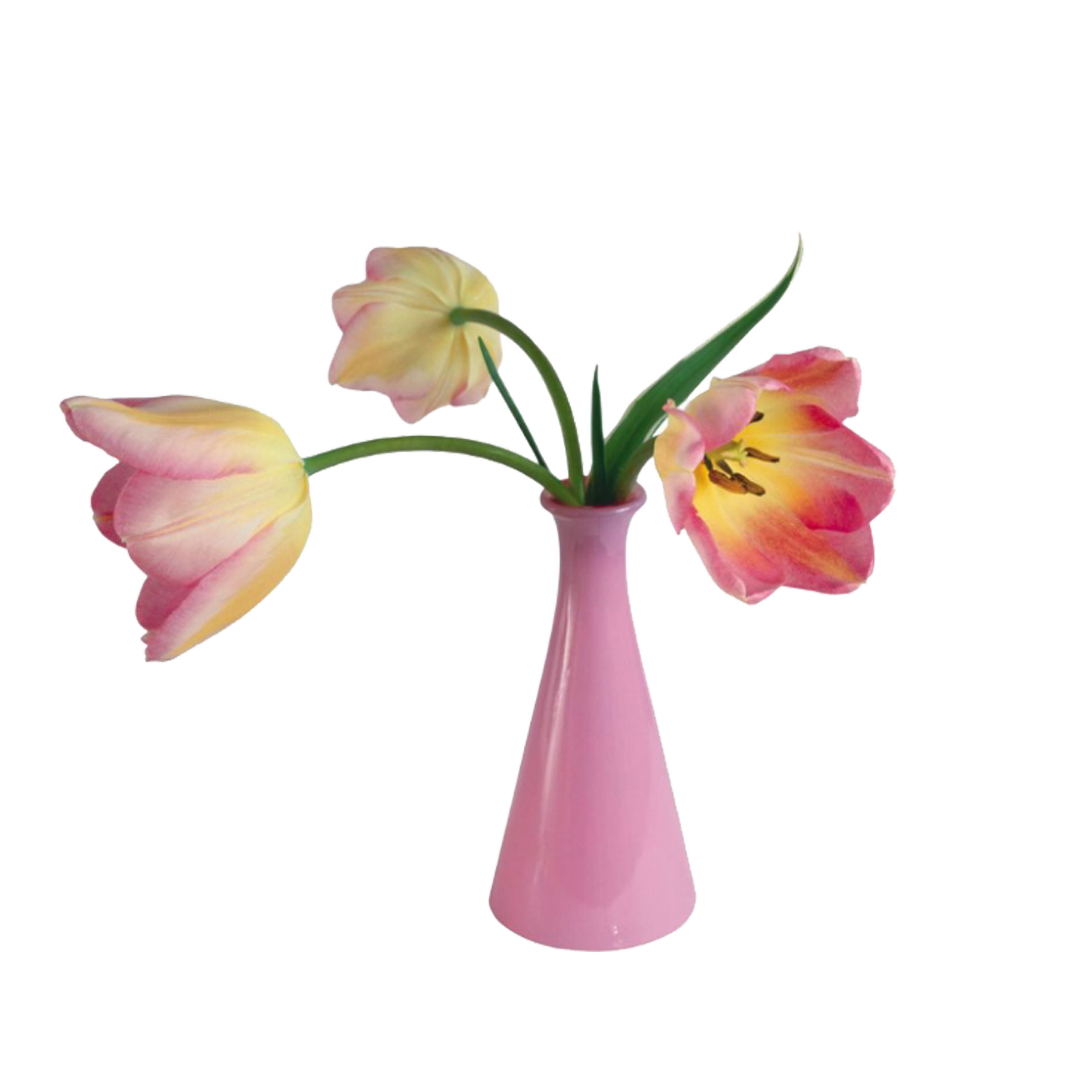 clipart flower vase
