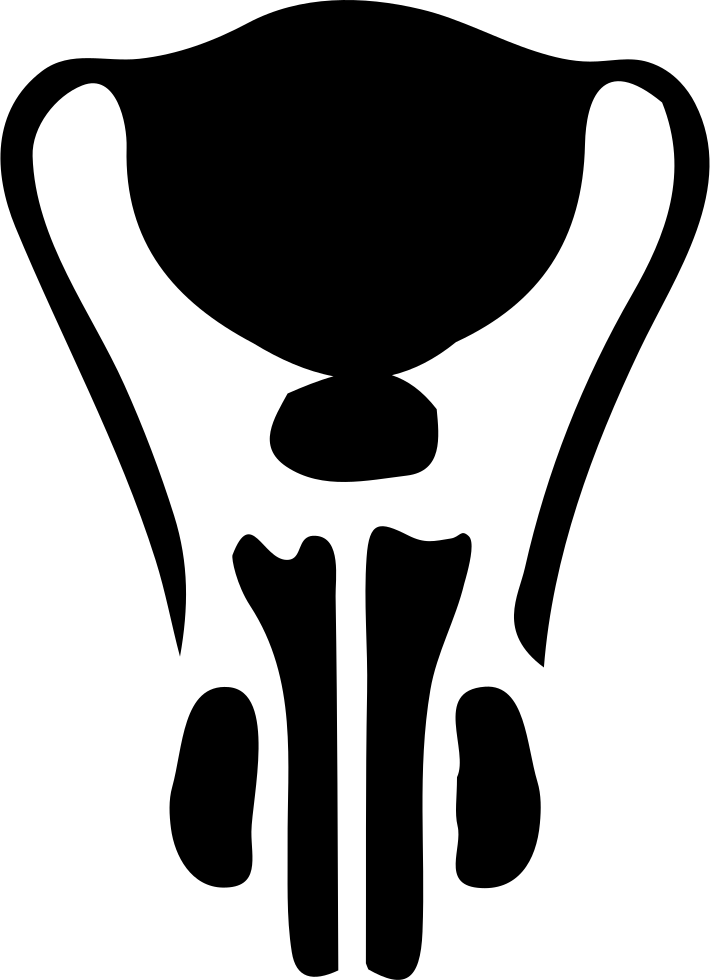 Male svg png icon. Clipart definition female reproductive system