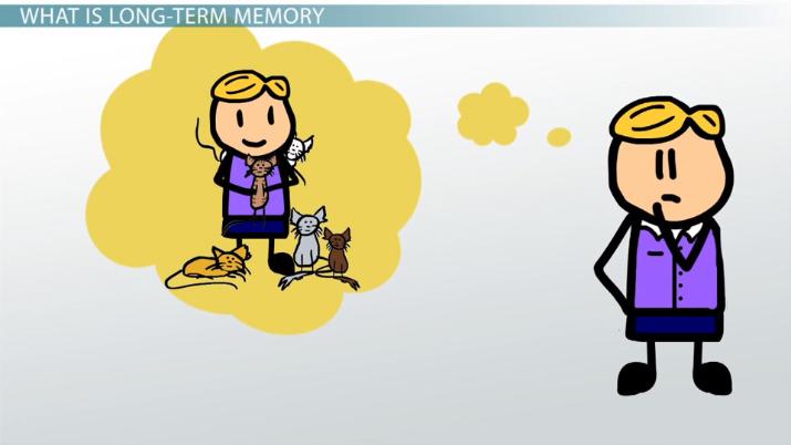 Long term memory definition. Memories clipart person