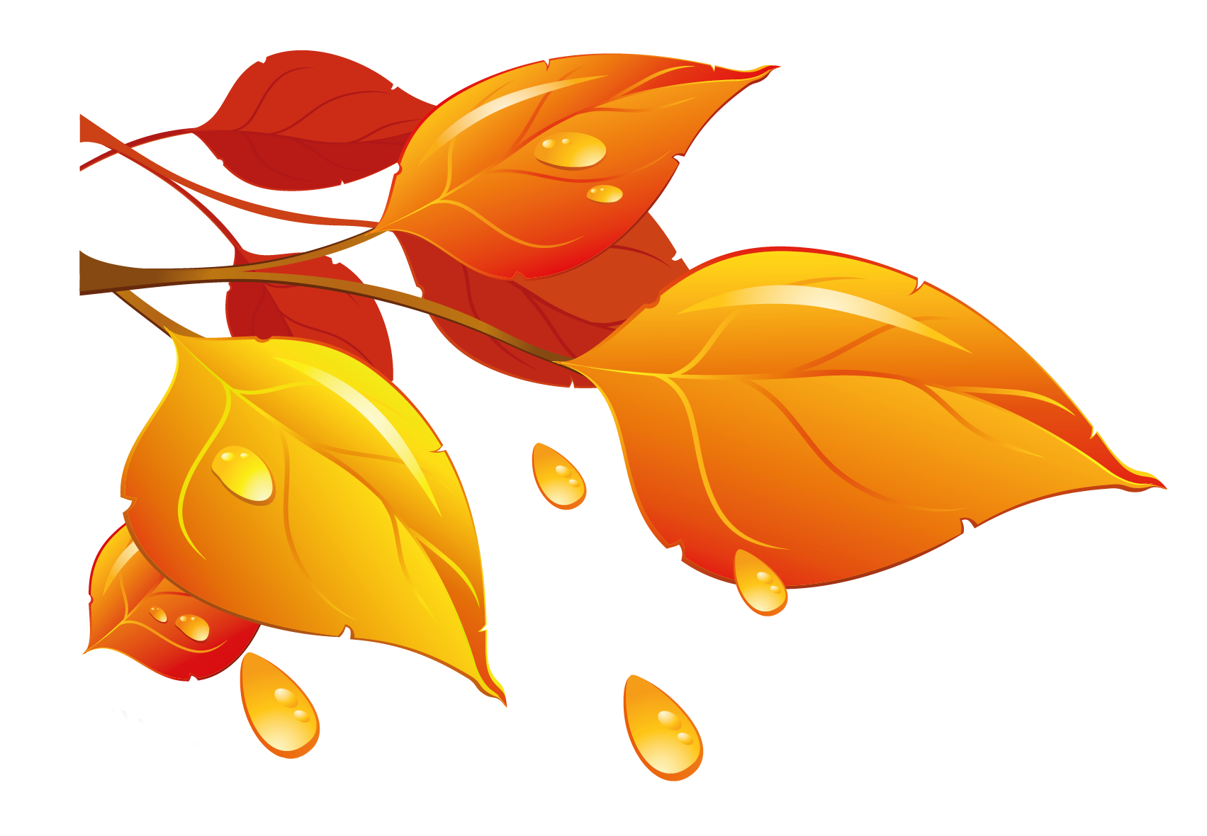 leaves clipart ash leaf