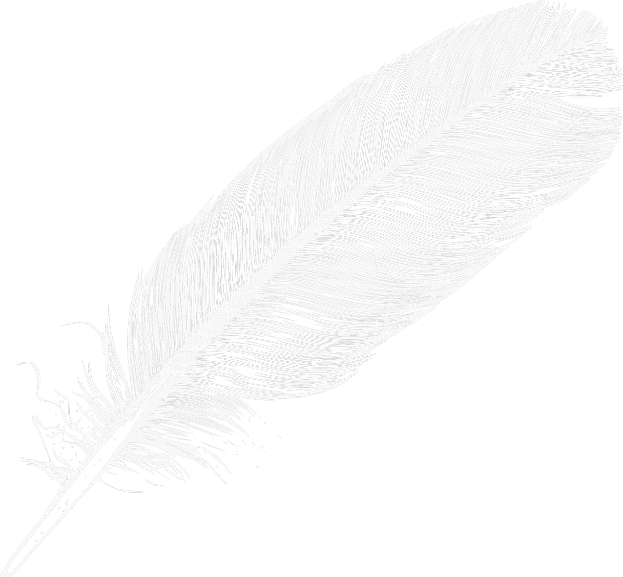 frame clipart feather