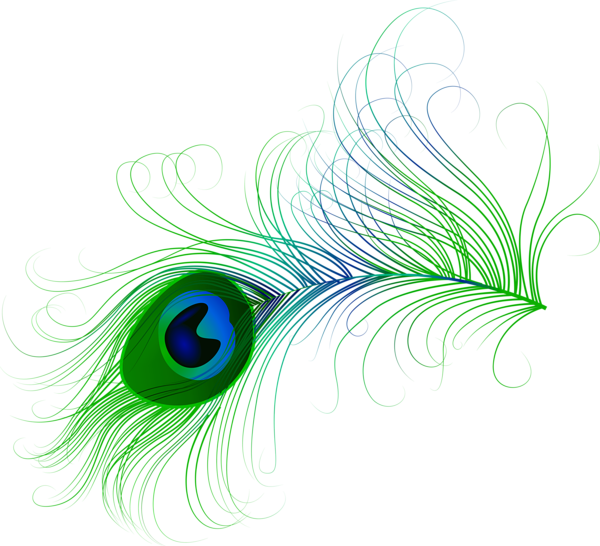 Peacock png clip art. Clipart design feather