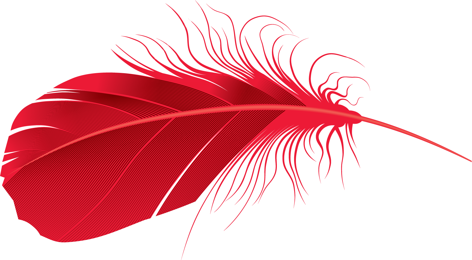 feather clipart file