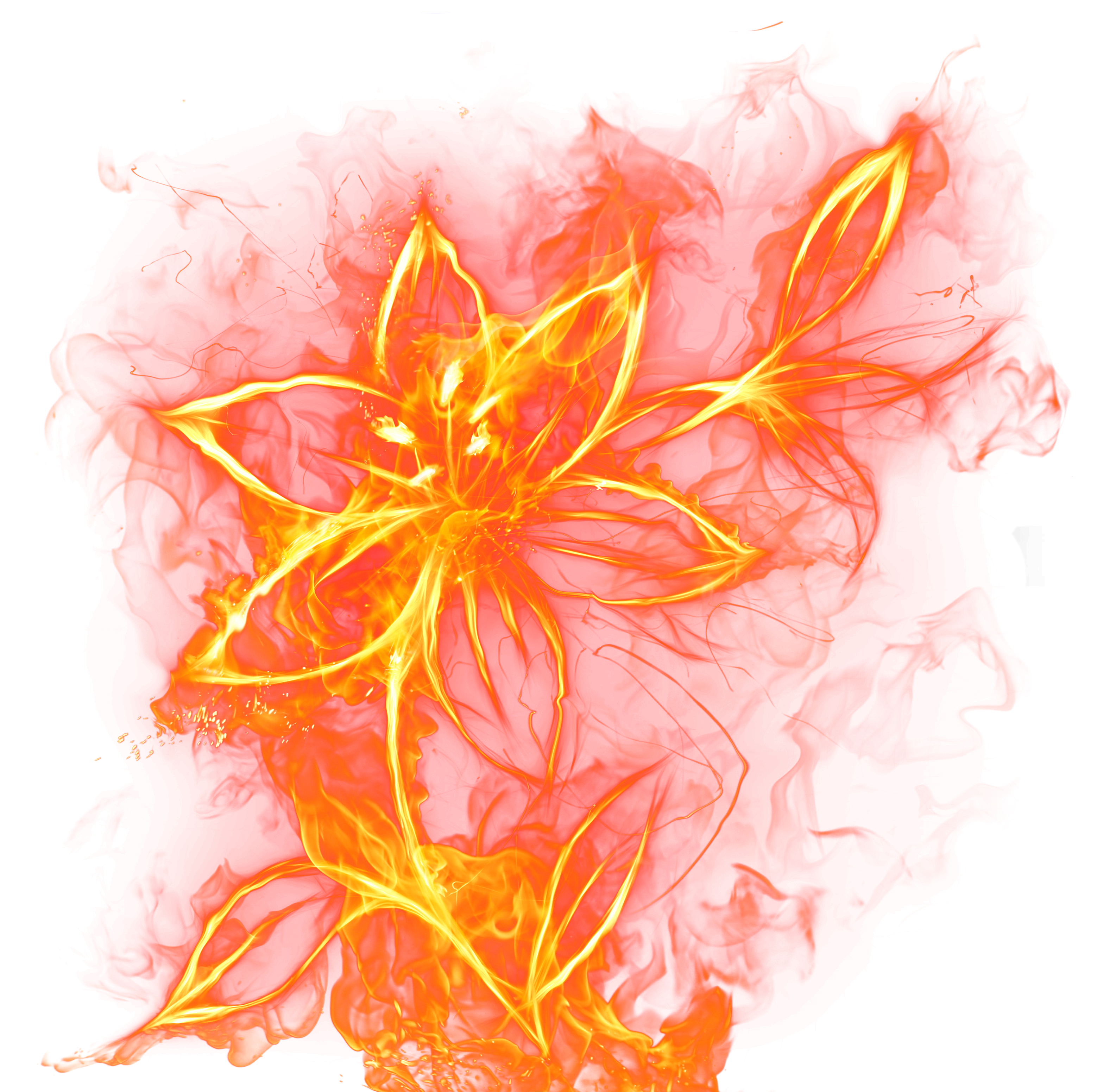 Beautiful flower png picture. Clipart fire beach