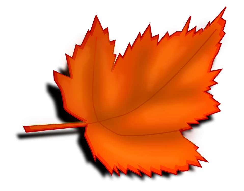 Autumn free stock photo. Clipart leaf clear background