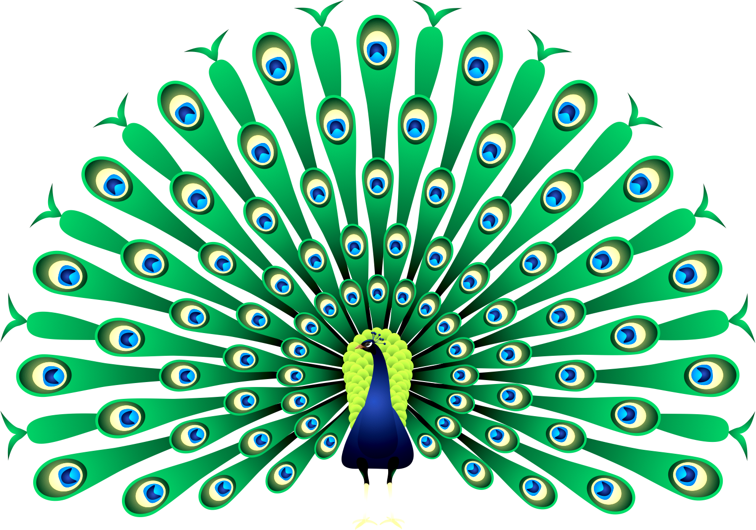 clipart design peacock