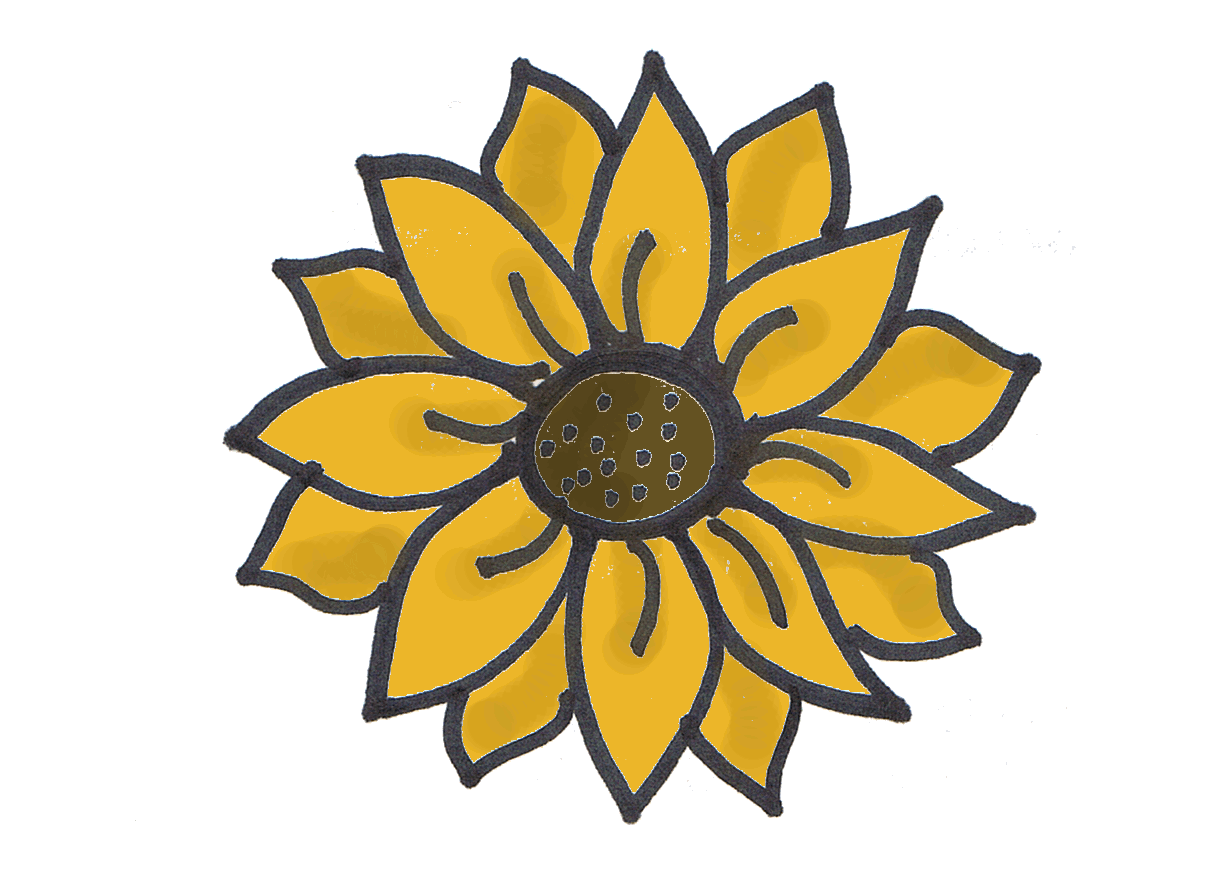 outline clipart sunflower