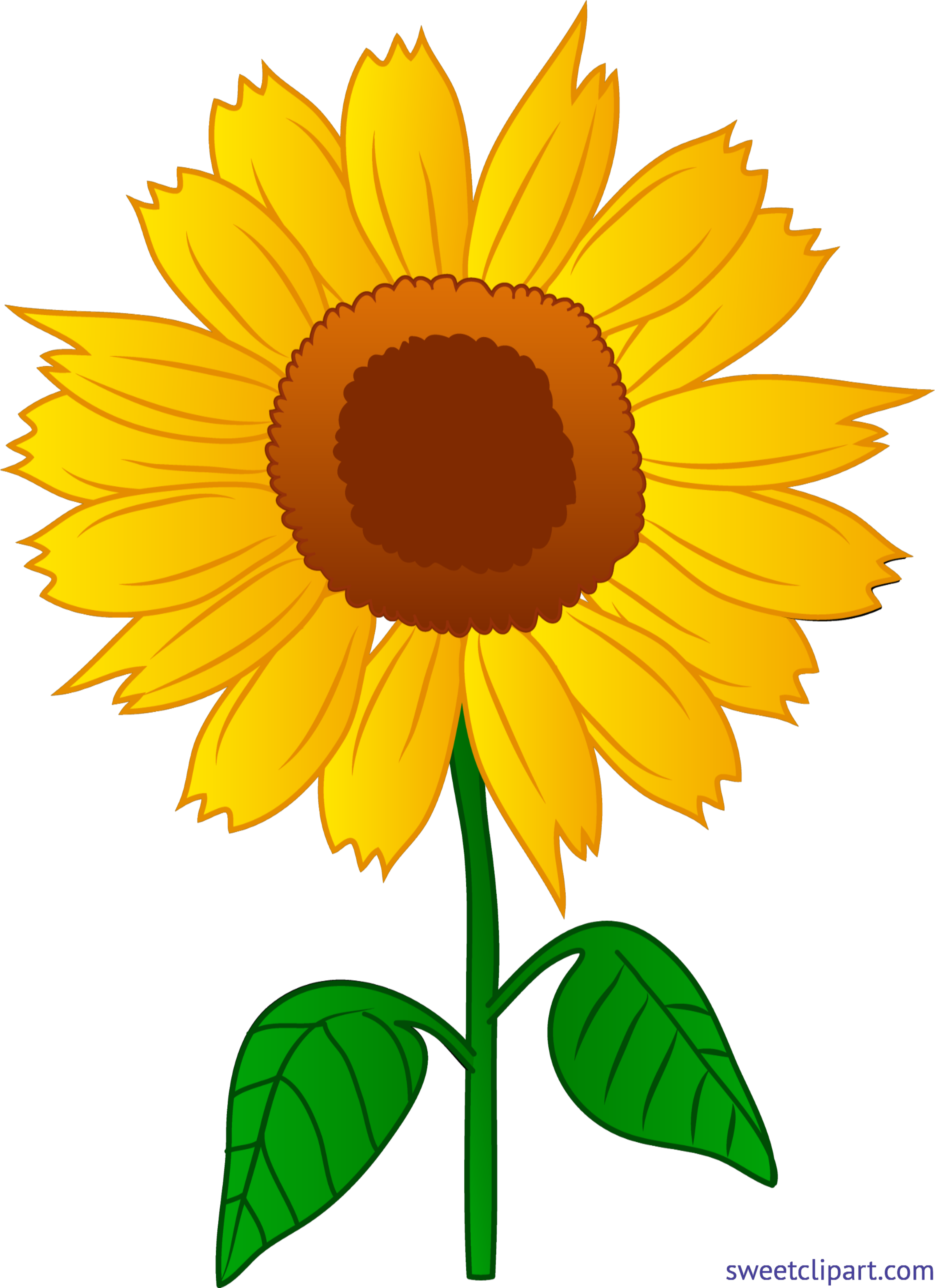 clipart design sunflower