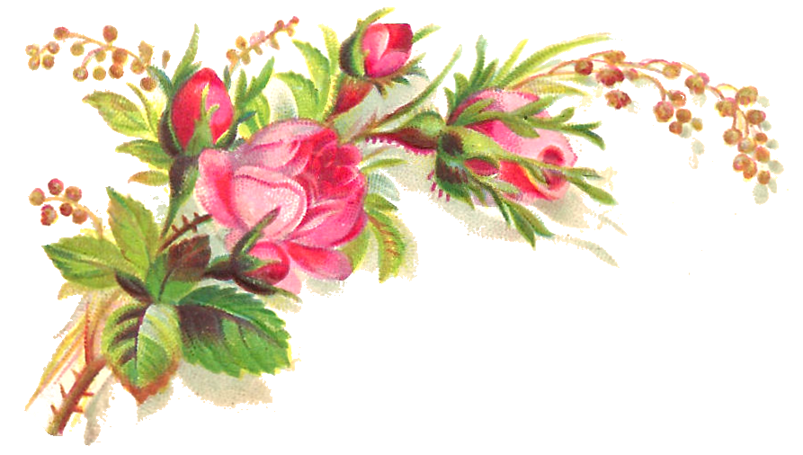 Pink rose clipart graphic. Flower transparent png