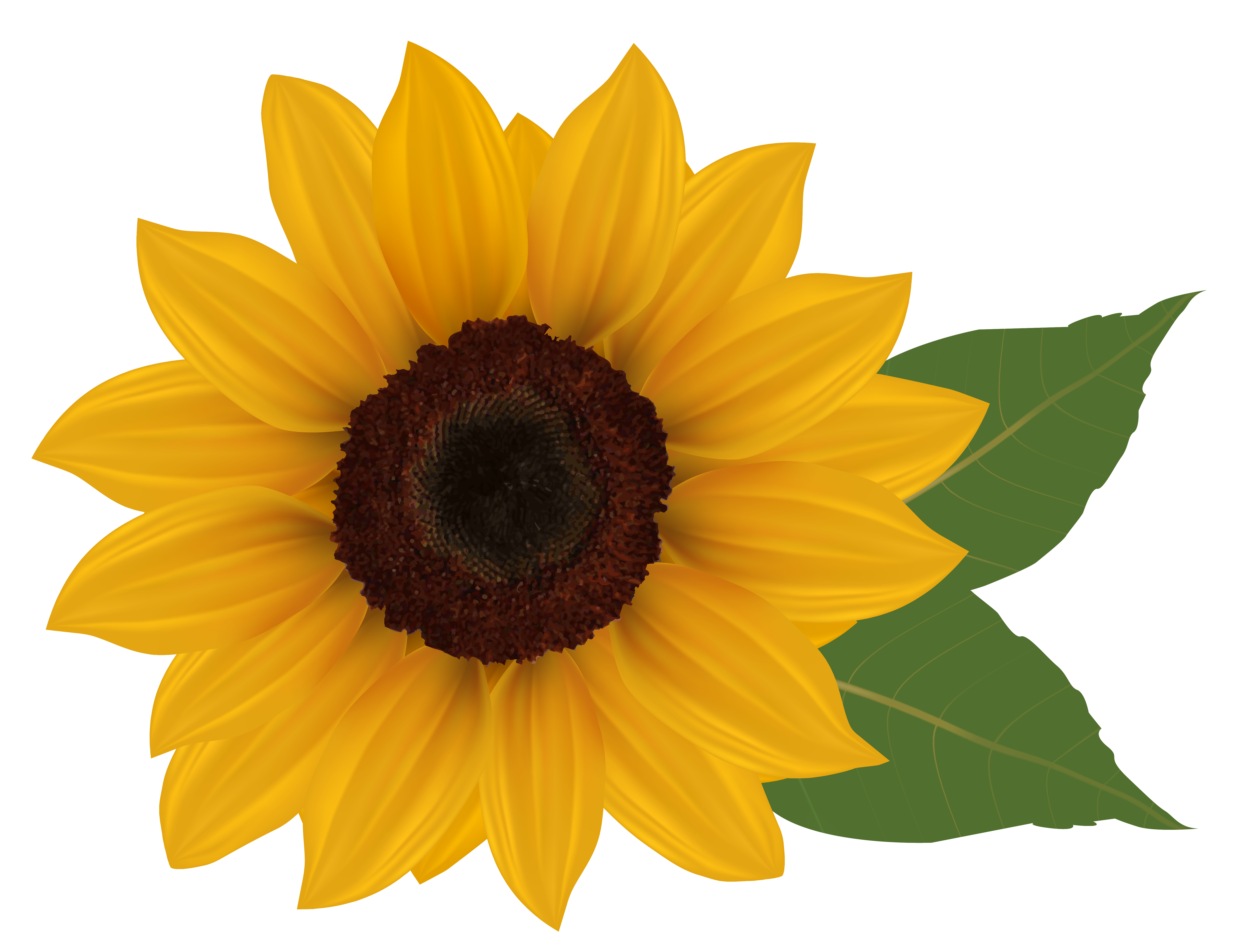 Profile clipground tattoo piercing. Flower clipart sunflower