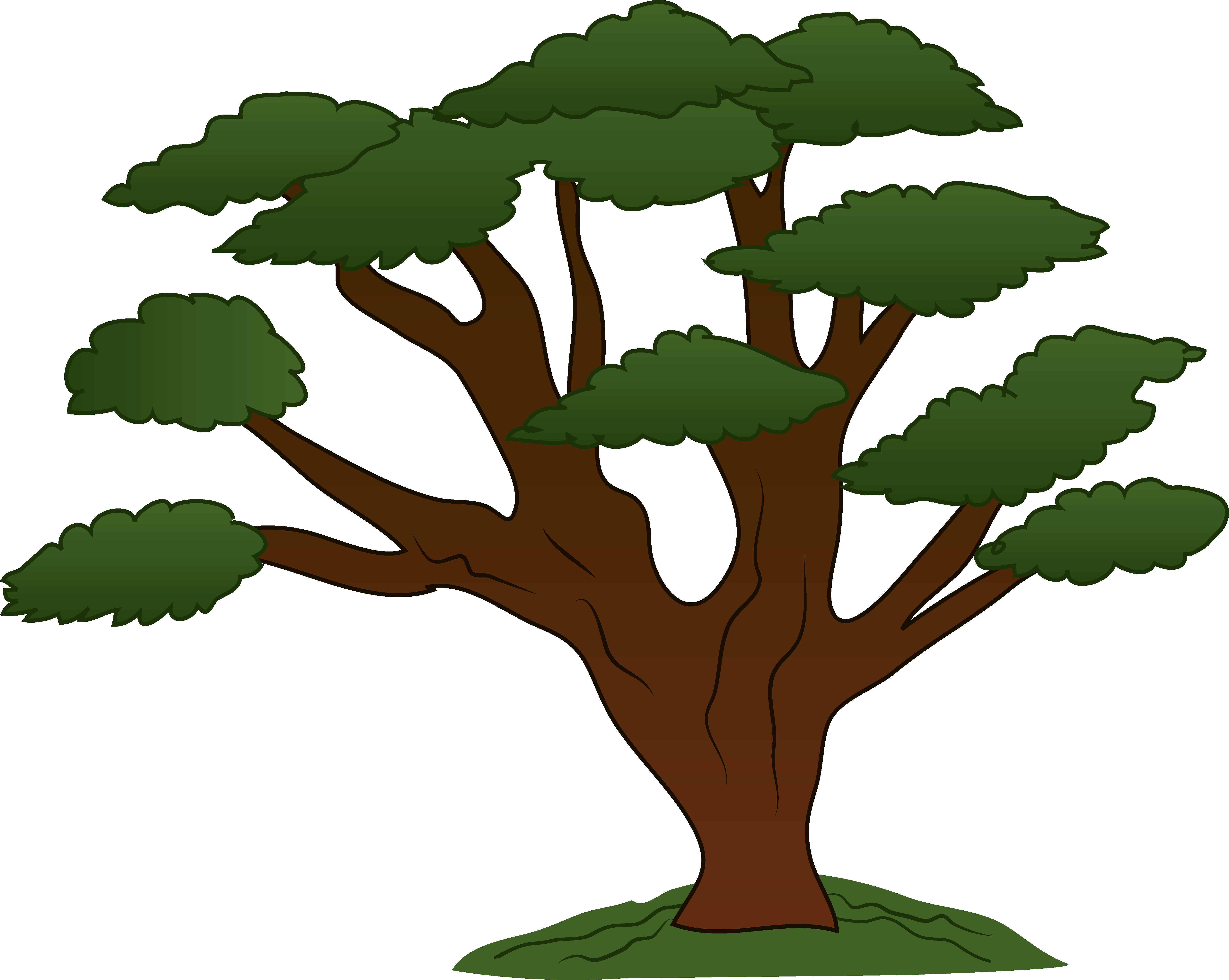Growth clipart tree icon. Of life sweeping oak