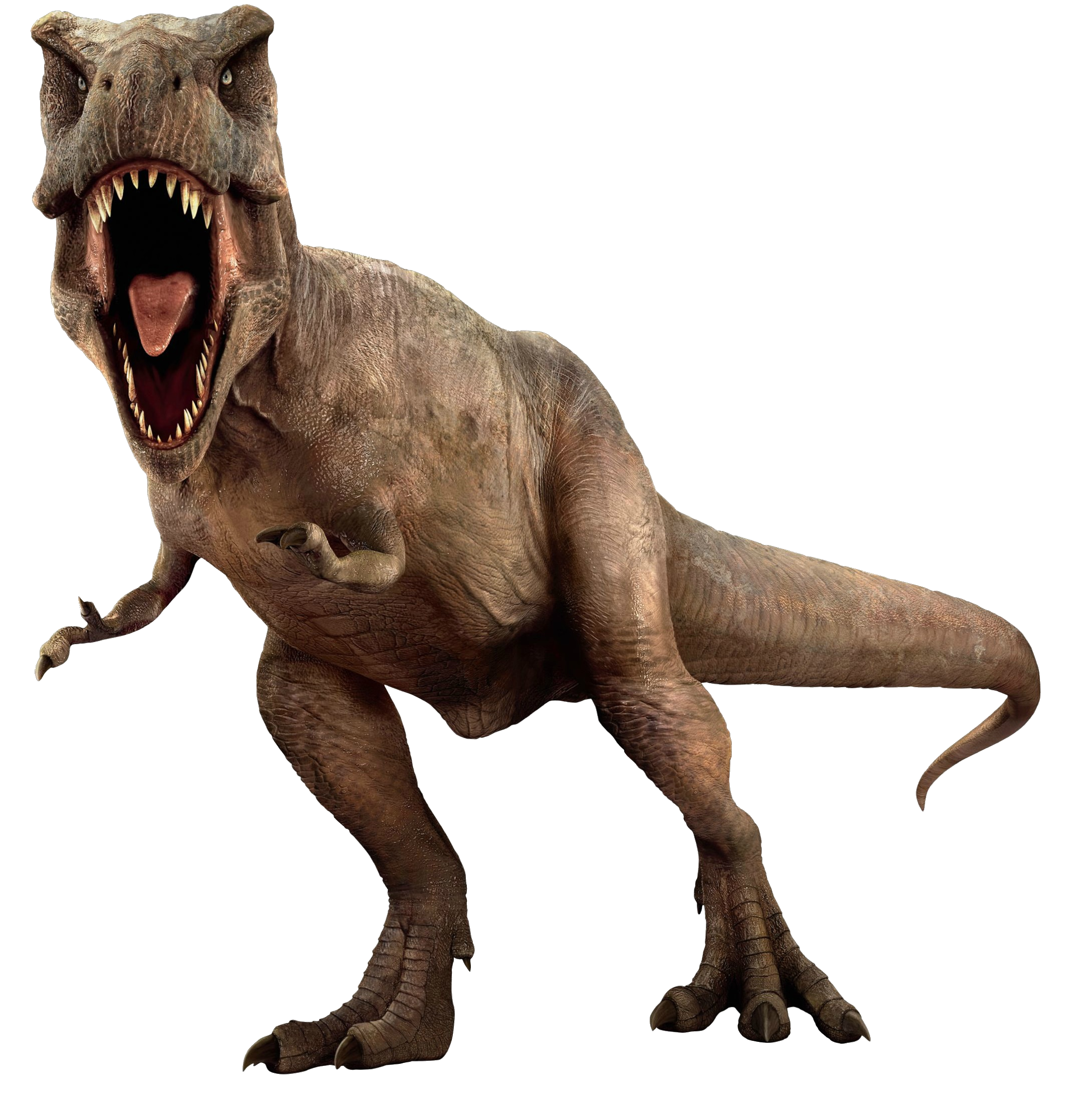 dinosaurs clipart brown
