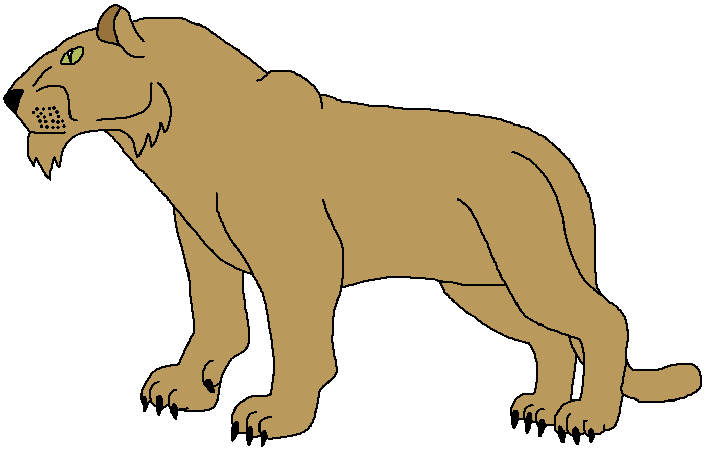Lion african lion