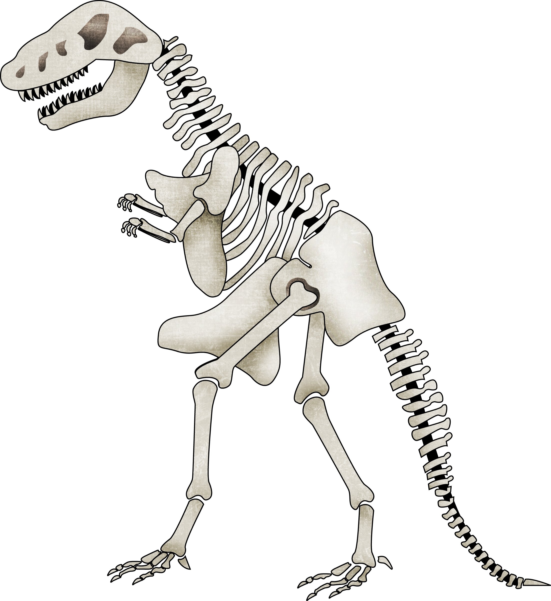 clipart skeleton cartoon animal