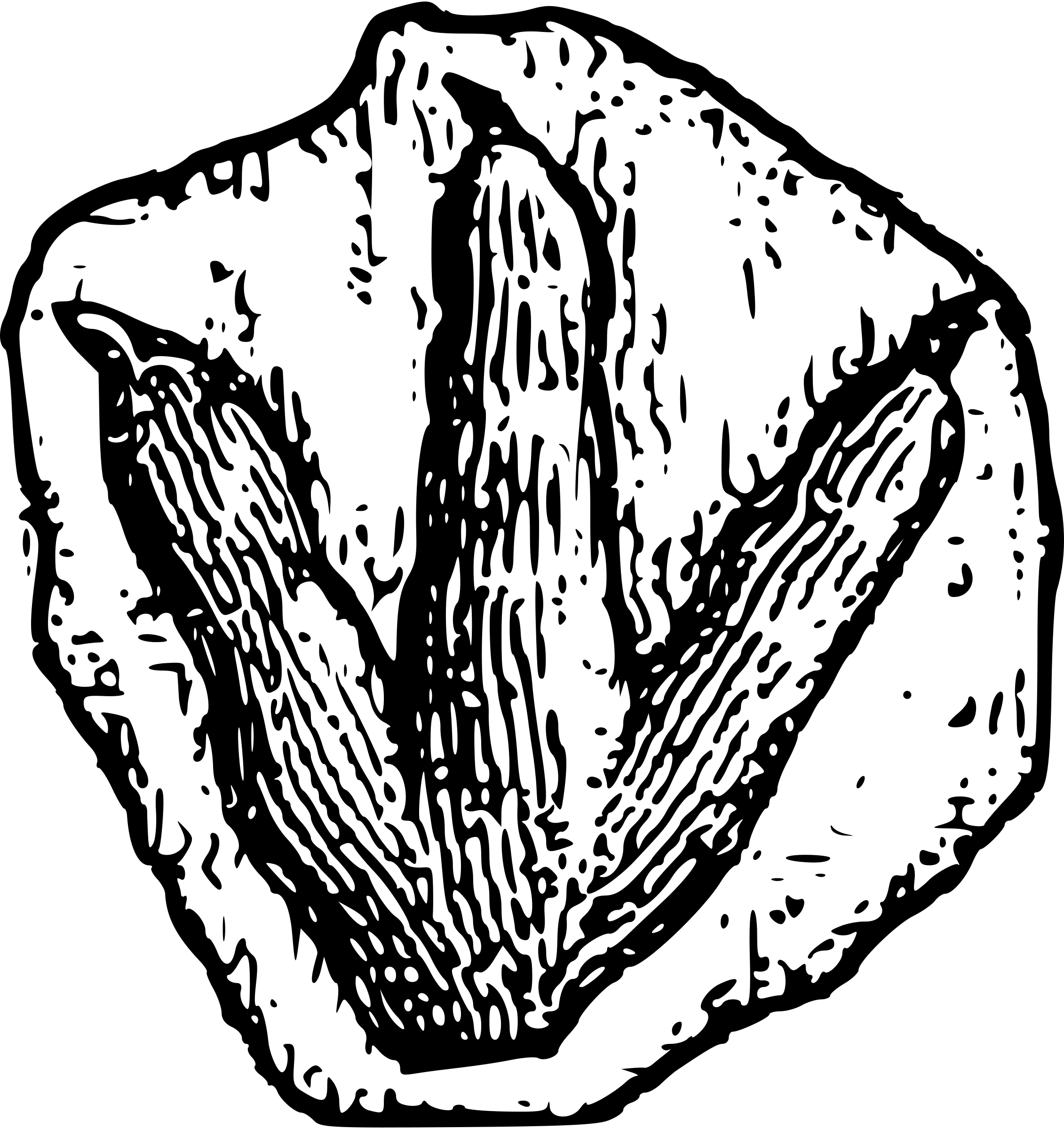 clipart dinosaur foot