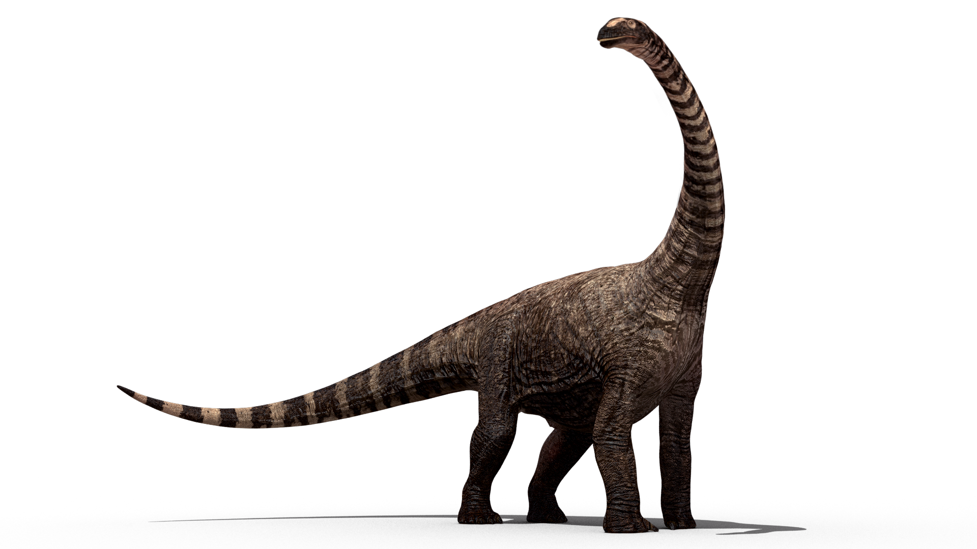 Dinosaur clipart tail. Png images dino free