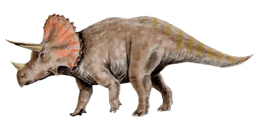 Dinosaur clipart triceratop. Triceratops pinterest clip art