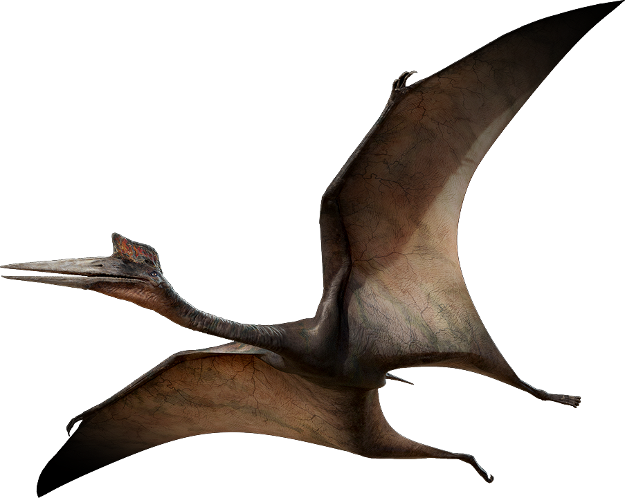 Dinosaur clipart swamp. Quetzalcoatlus wiki fandom powered