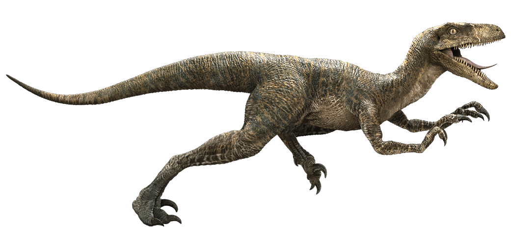 Dinosaur clipart velociraptor. Antirrhopus s f jurassic
