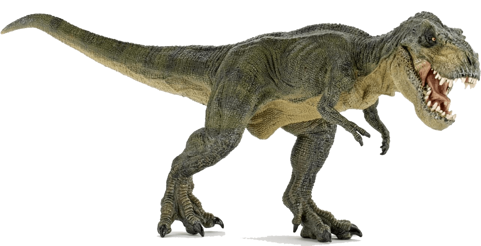Trex clipart real dinosaur. Angry transparent png stickpng