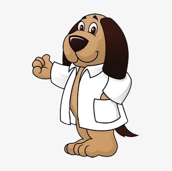 clipart dog doctor
