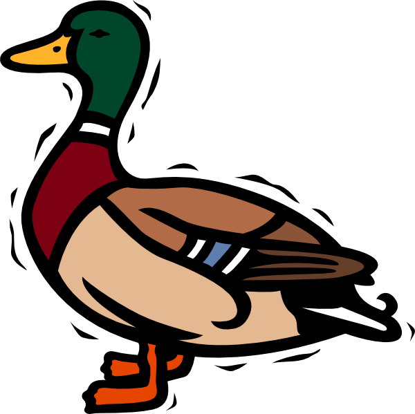 Mallard duck google search. Goose clipart sad