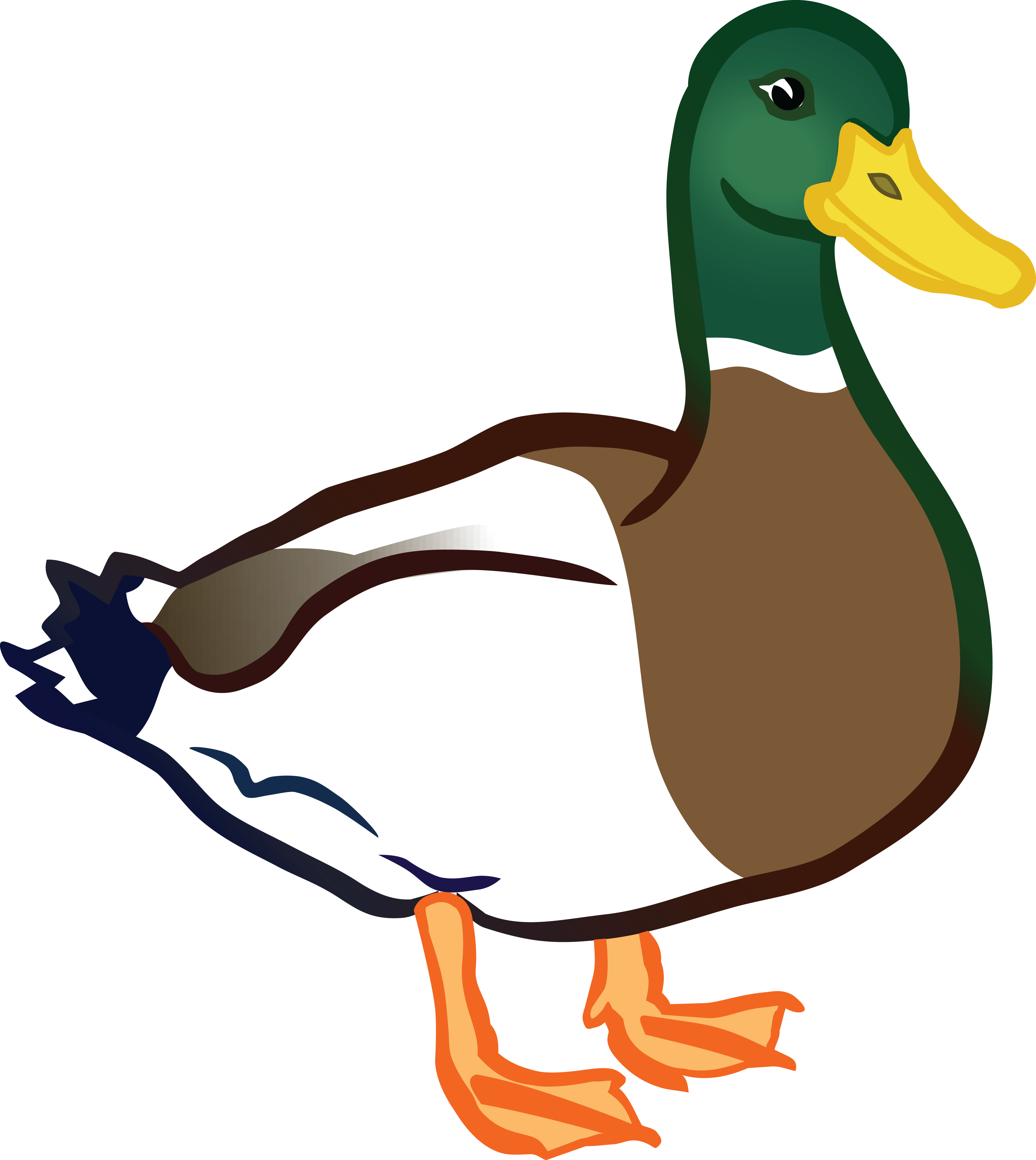 Goose clipart duckling. Duck beak frames illustrations
