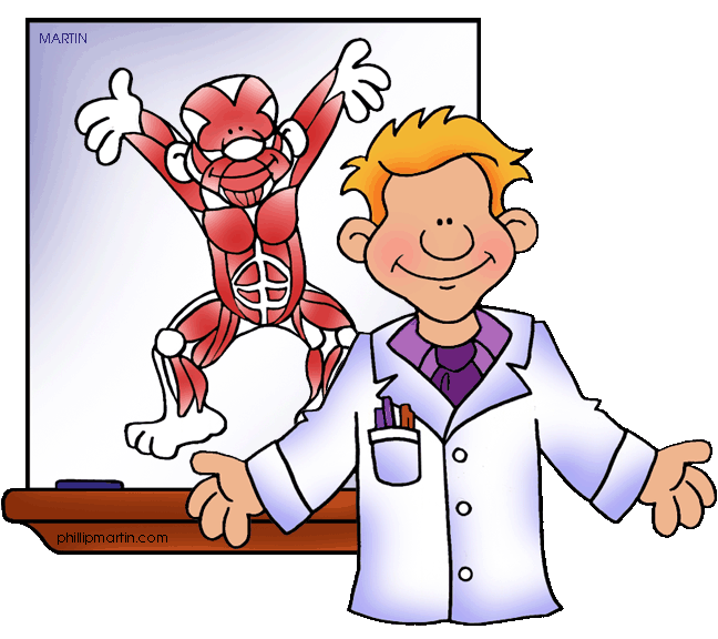 Muscles muscular system free. Clipart science human body